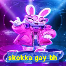 skokka gay bh